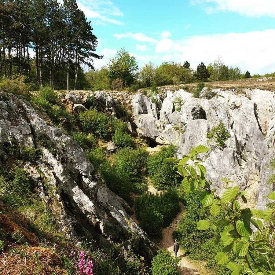 Verblijfpark Ardinam Olloy-sur-Viroin Bagian luar foto