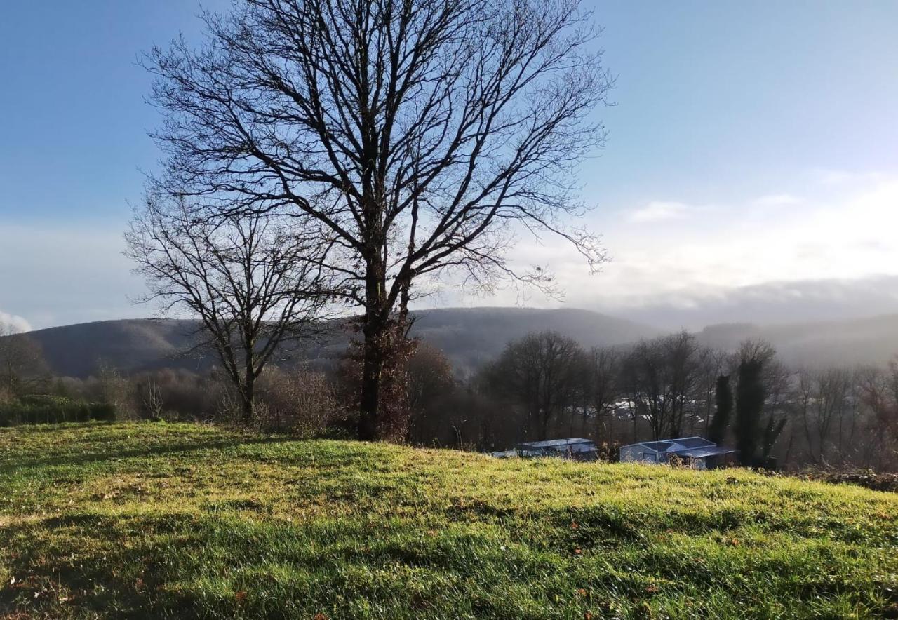 Verblijfpark Ardinam Olloy-sur-Viroin Bagian luar foto