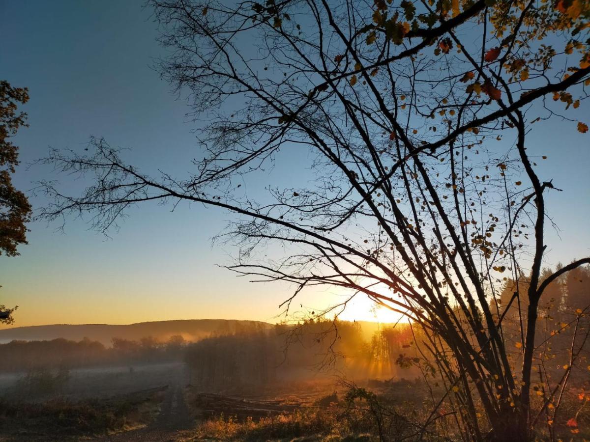 Verblijfpark Ardinam Olloy-sur-Viroin Bagian luar foto